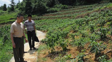 2016年8月9日，集團(tuán)黨委副書(shū)記雷長(zhǎng)文督導(dǎo)燕巖村黨員示范三帶工程辣椒種植情況